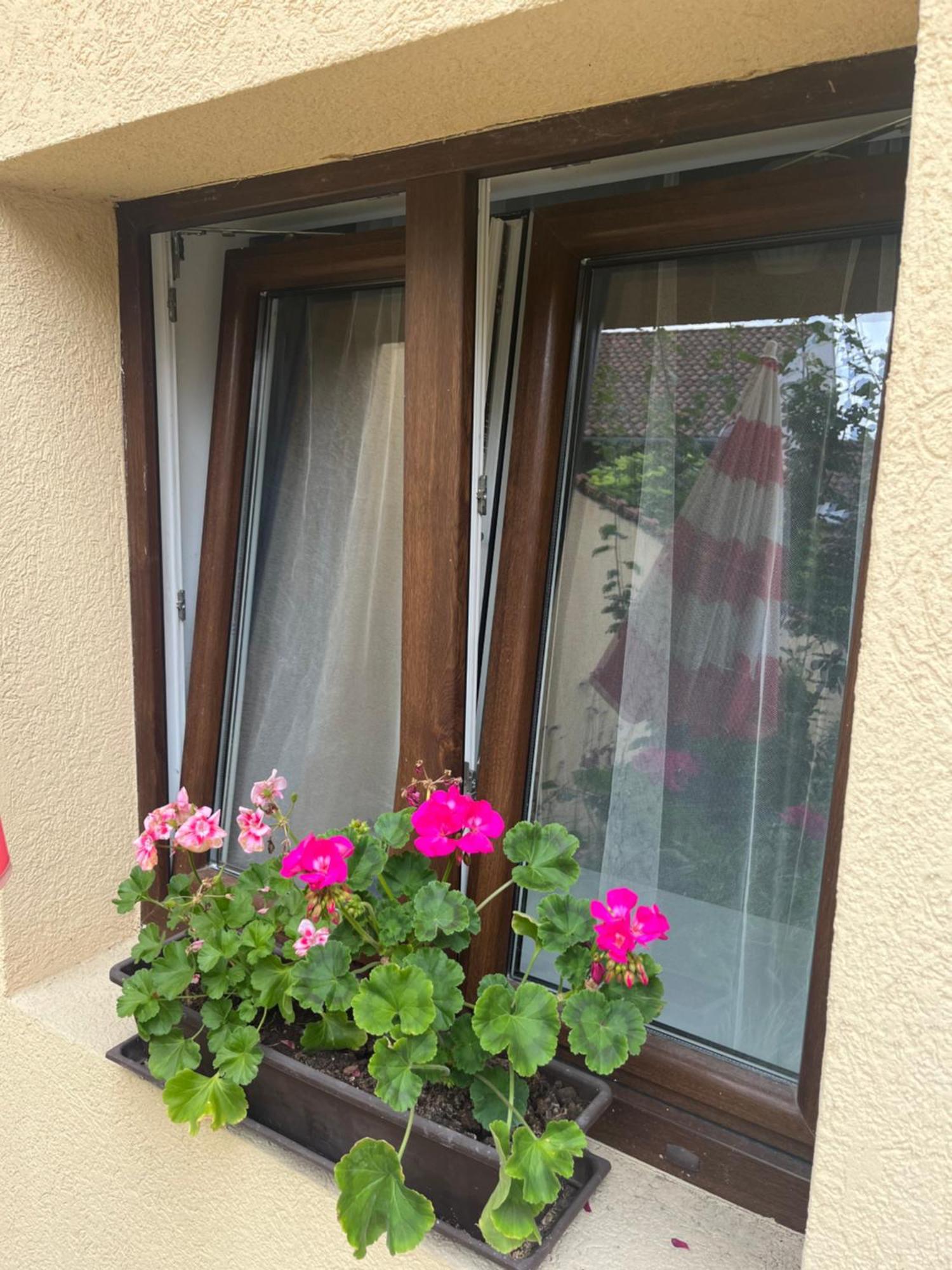 Kerti Franciaagyas Apartman Vác Exteriér fotografie